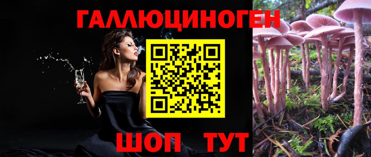 Отрадный  Галлюциногенные грибы MAGIC MUSHROOMS  Вход с VPN 