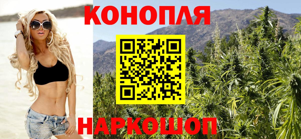 Конопля план Отрадный